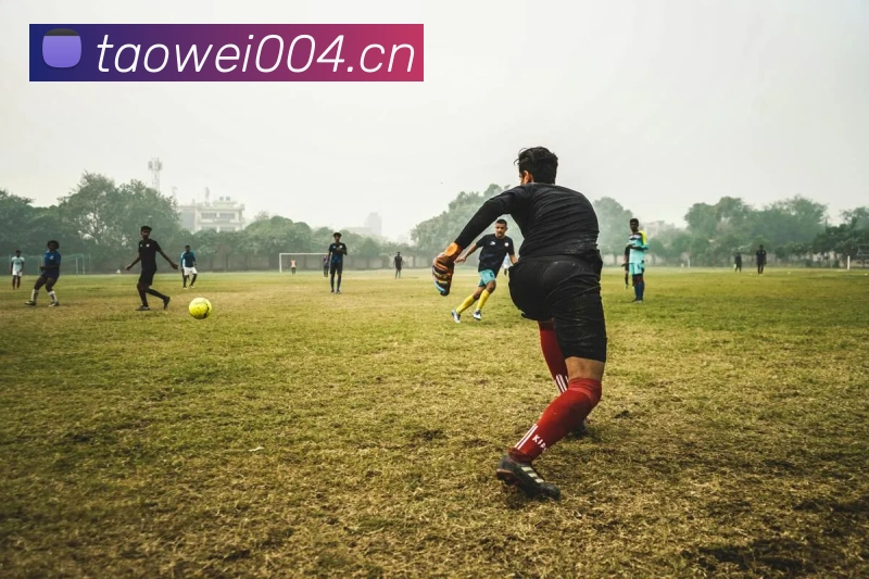 开云appAPP 封面图